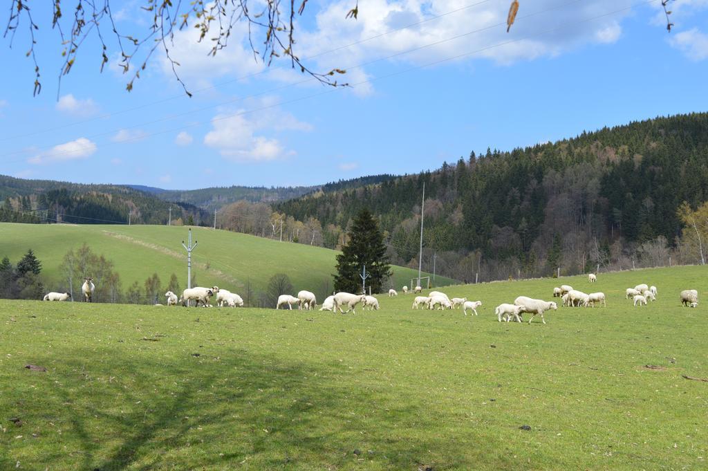 Chata Nova Seninka Staré Město Eksteriør billede